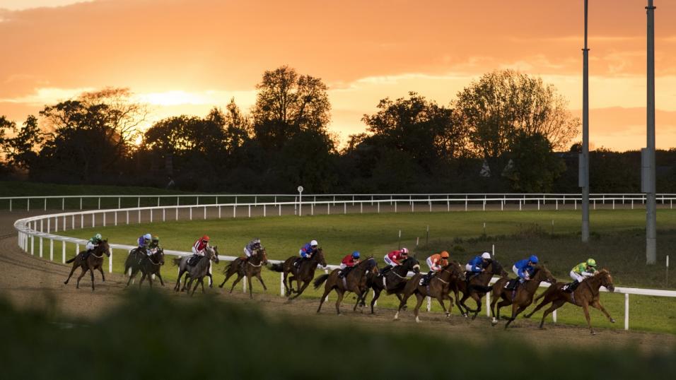 Chelmsford races 